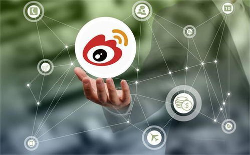 發(fā)力垂直領(lǐng)域，微博廣告業(yè)務(wù)實(shí)現(xiàn)穩(wěn)健復(fù)蘇