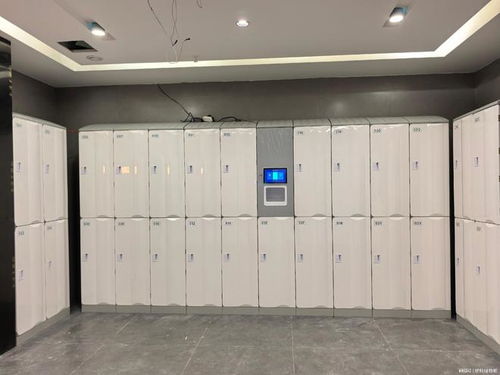 實力廠家梳理 智能儲物柜廠家綜合實力評估參考——人臉識別系統
